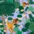 Forest Frolic